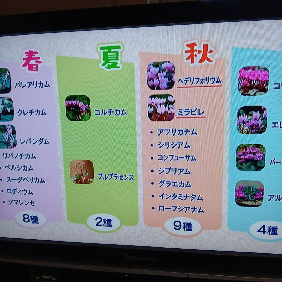 SONY BDZ RX100 2TB 2番組録画