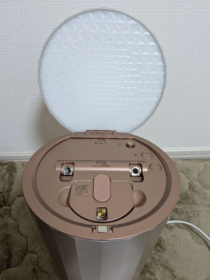 ヤーマン YA-MAN フォトスチーマー IS-100P