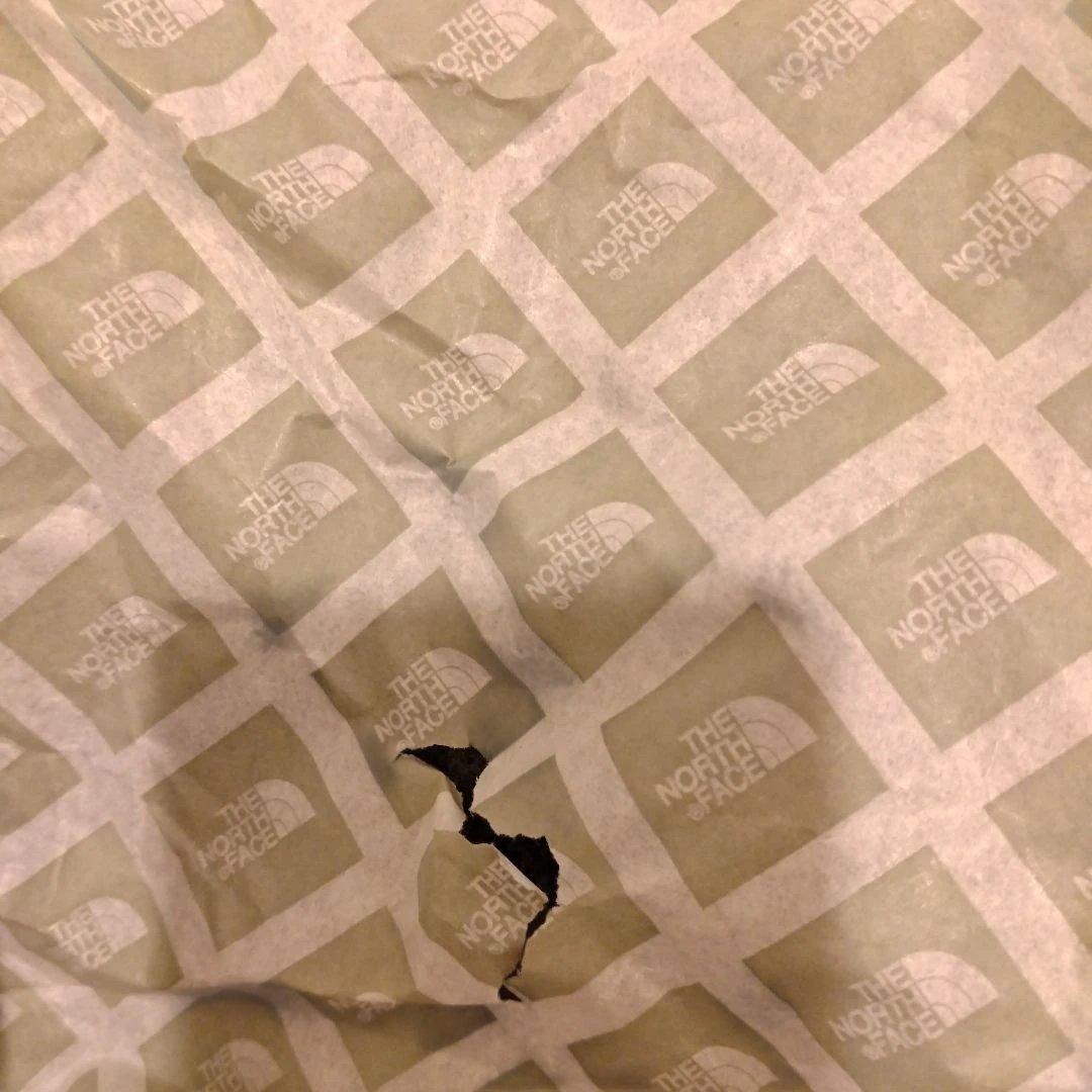 ノースフェイスボアブーツ２５センチ