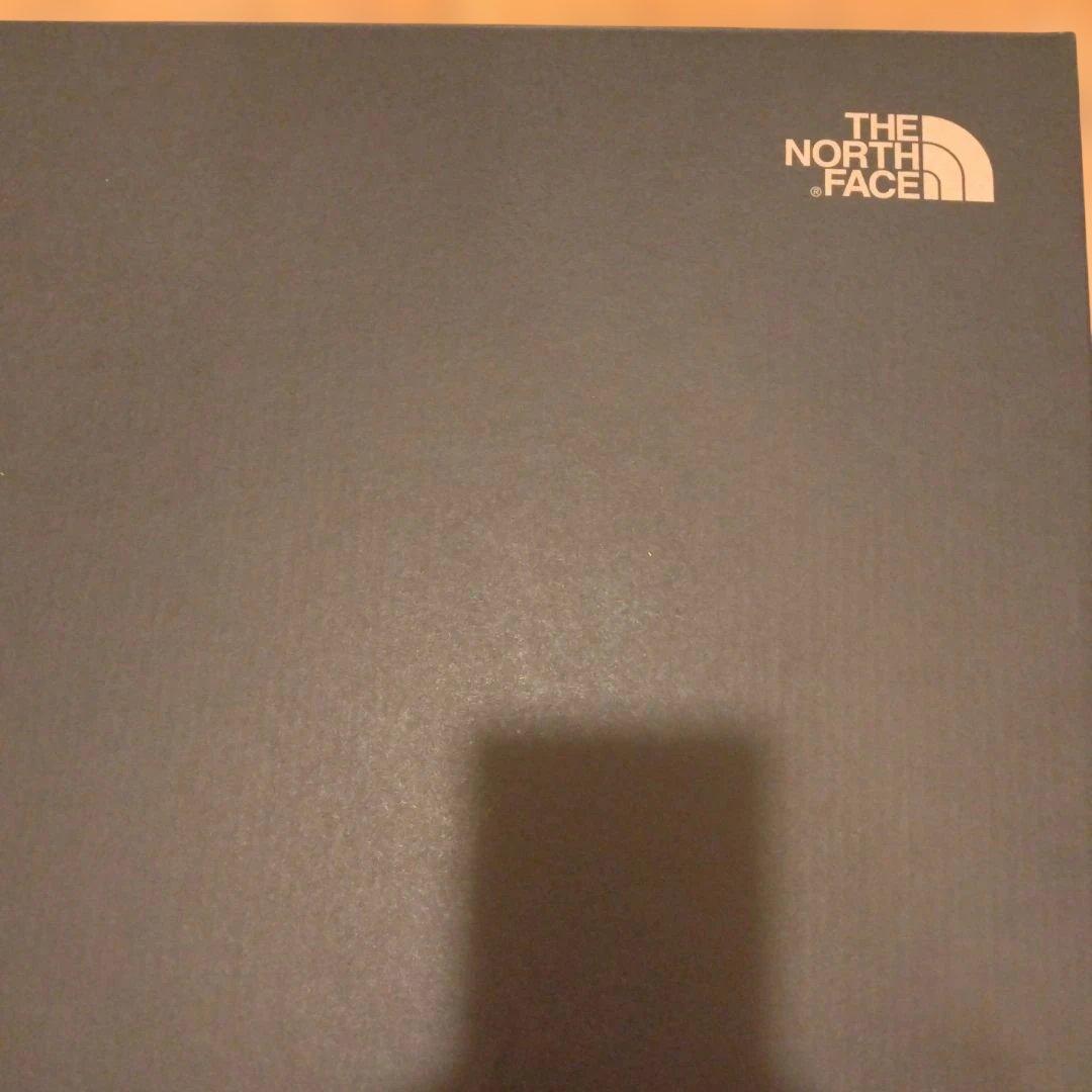 ノースフェイスボアブーツ２５センチ