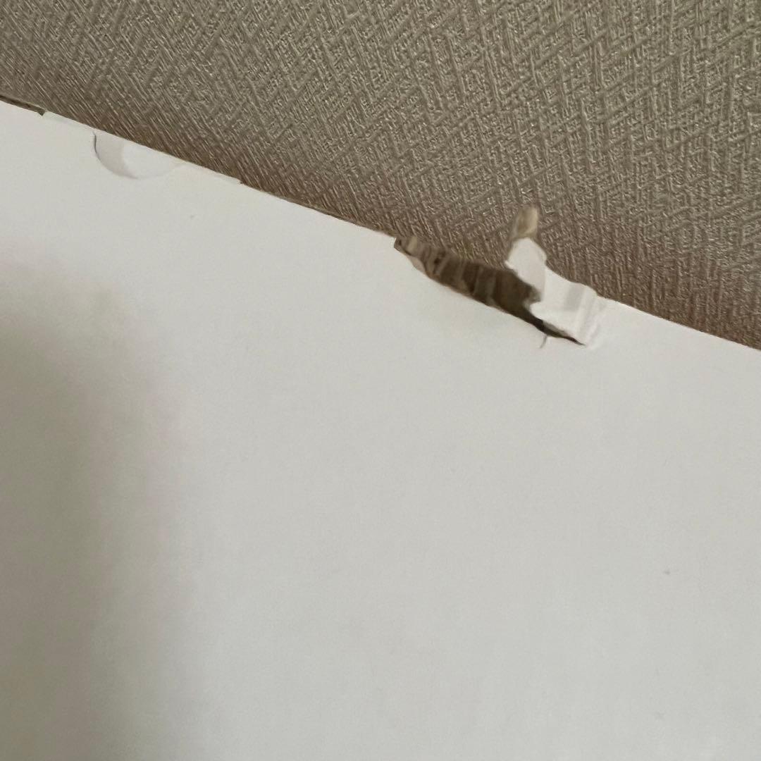 Peacock ホームパーティグリル 新品未使用