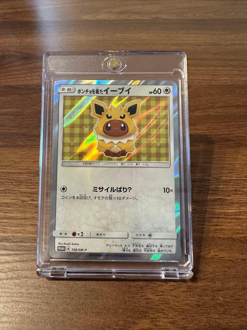 ポンチョを着たイーブイ(サンダース)