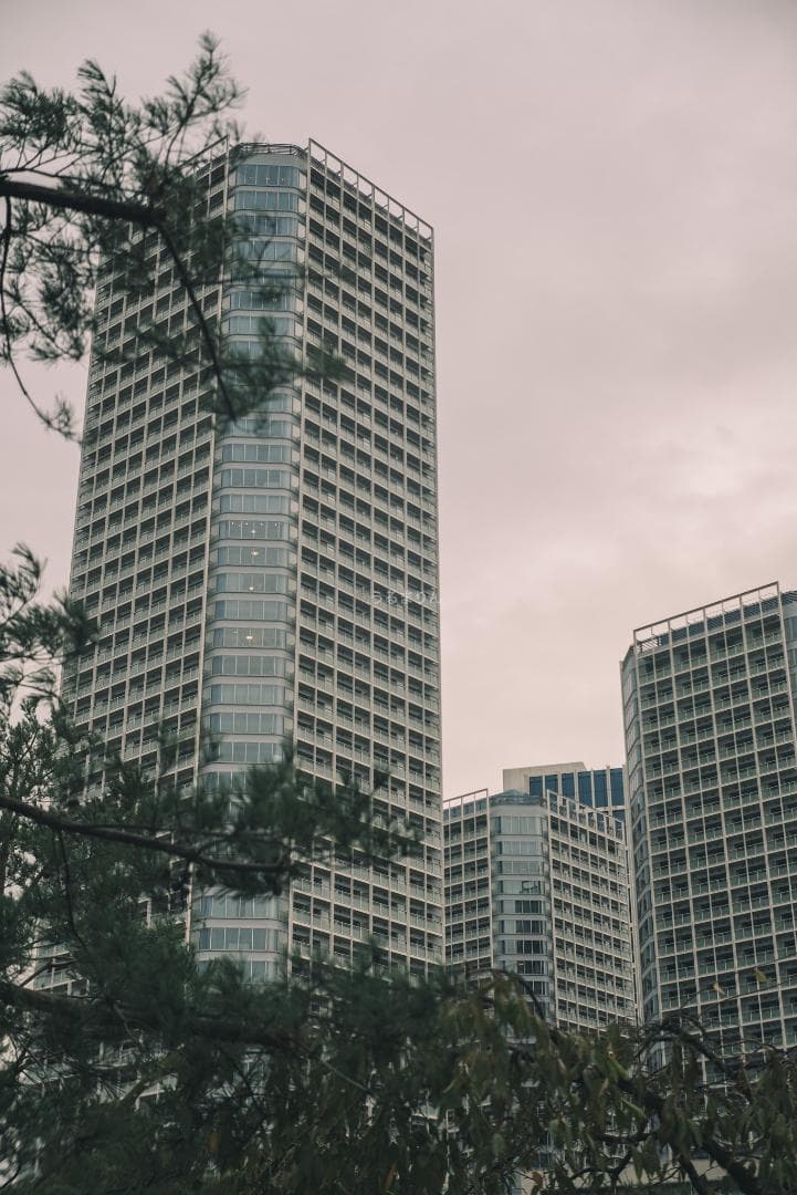 狂気の原点！Leica Xenon 50mm F1.5 オールドレンズ