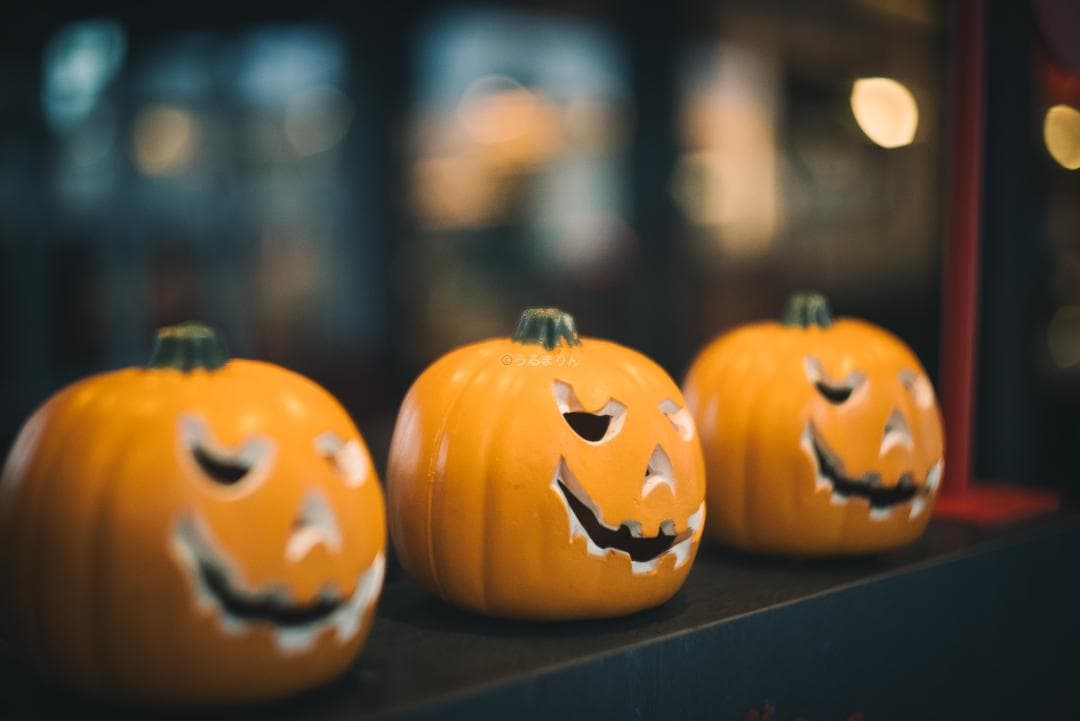 狂気の原点！Leica Xenon 50mm F1.5 オールドレンズ