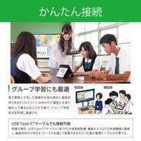 アイリスオーヤマ 電子黒板 65インチ 教育施設向け IB-65UHD02B