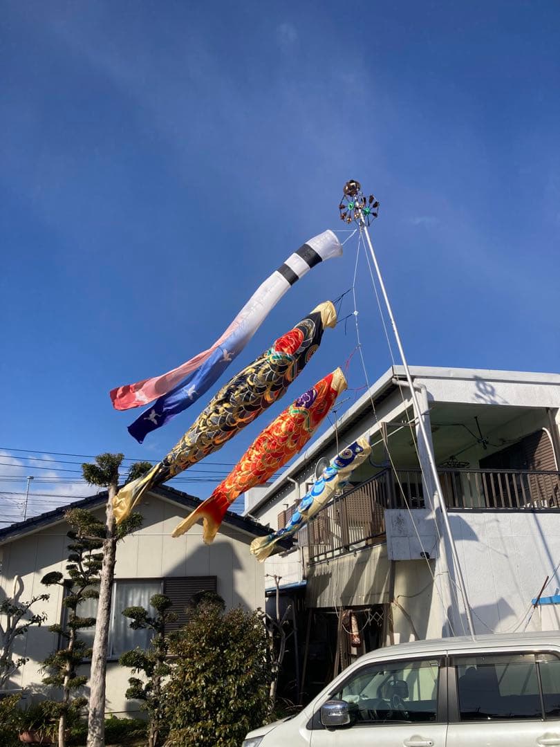 皇彩鯉4m 6点セット(吹流し青、緑鯉1.5m付)