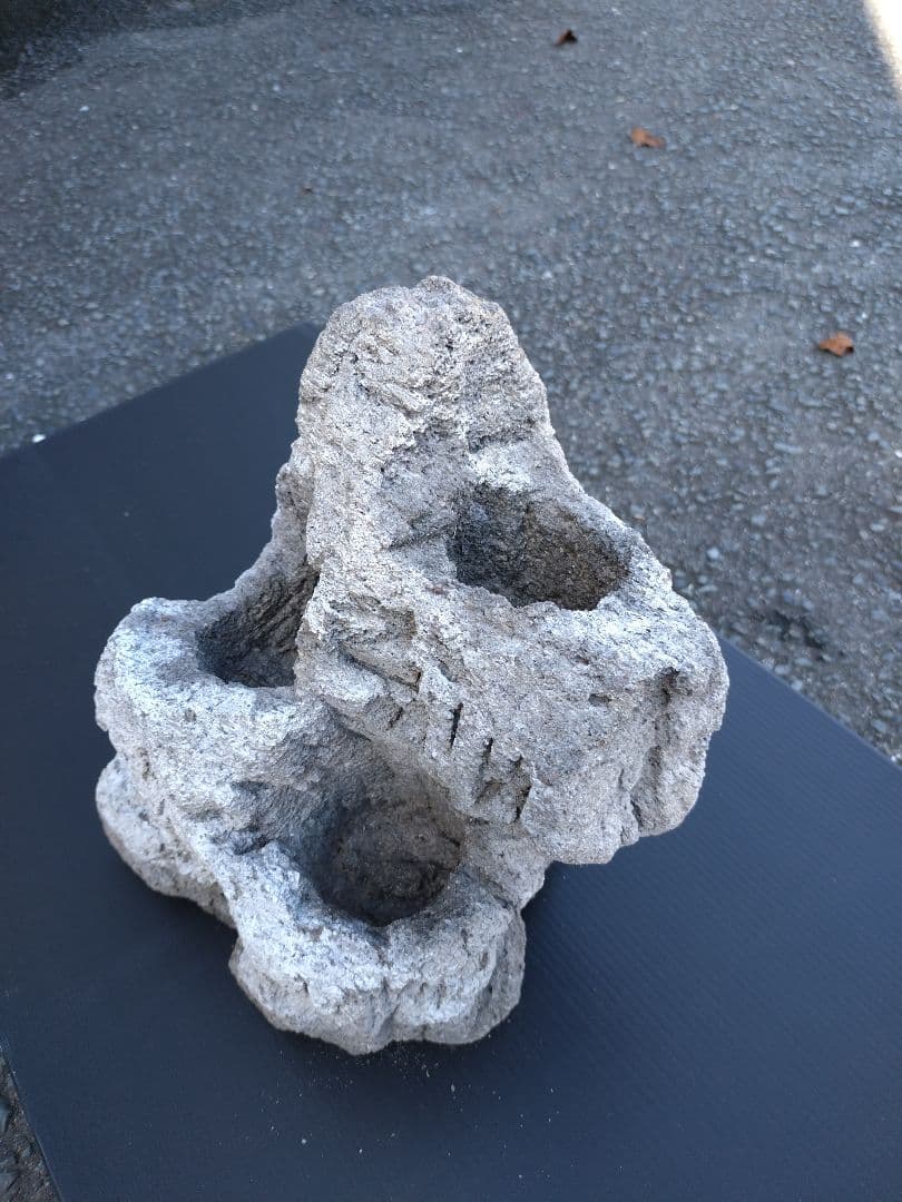 ADA 雲山石 XL 穴3個 水槽 レイアウト石 水槽レイアウト 水槽用石