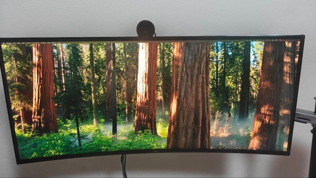 北*ー様 LG UltraGear 34GN850-B 34インチ DP 1.4