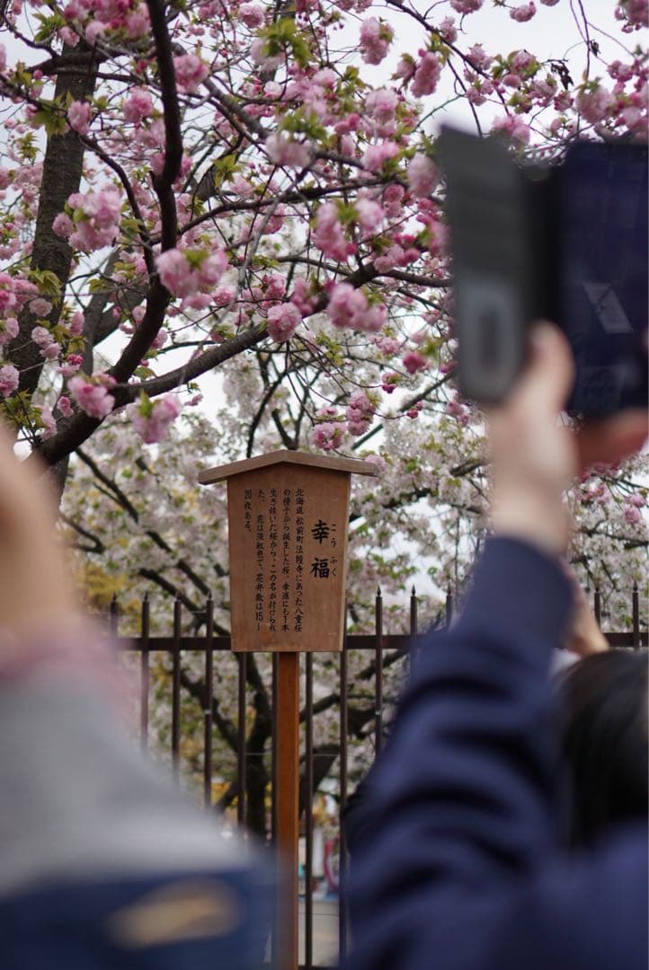 Sony eマウント　35mm f1.8