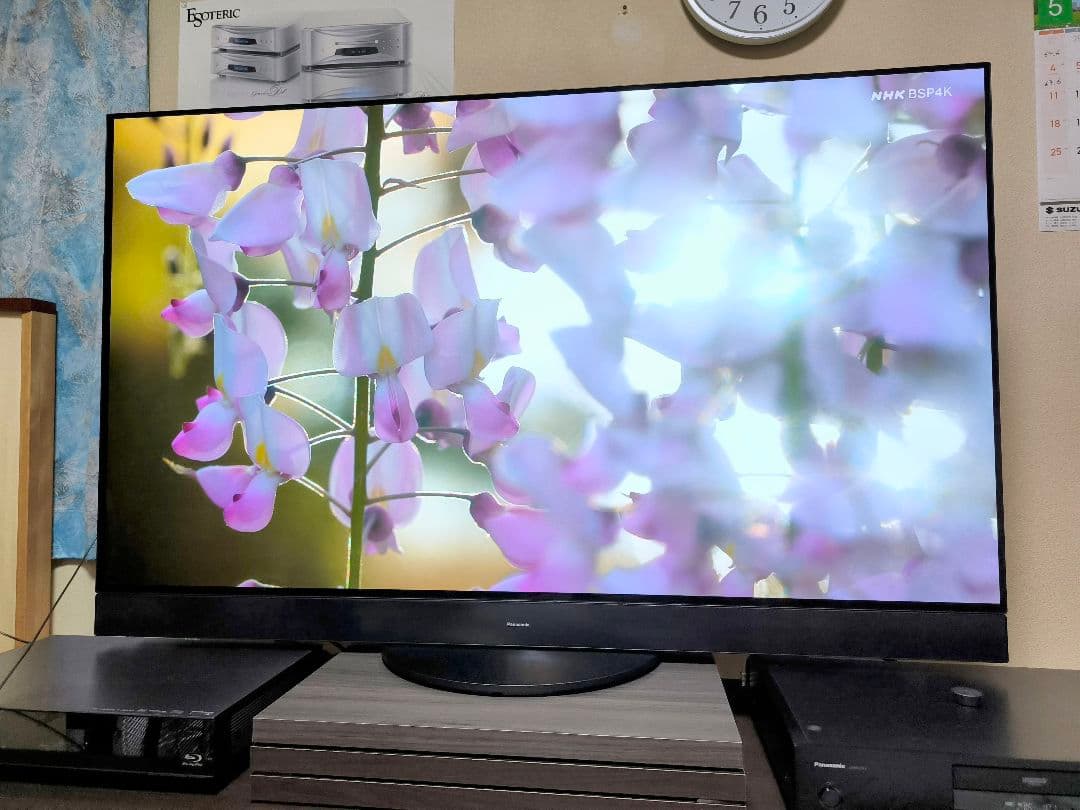 ビエラ 55インチ フラッグシップ 4K有機ELテレビ TH-55MZ2500J