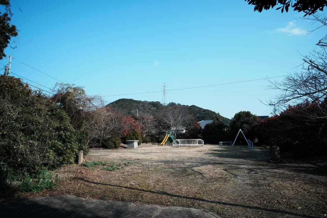 【誰も撮れない世界】NOKTON 21mm F1.4 VM 星空、マクロ、大ボケ