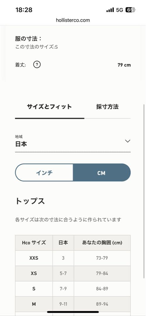 Hollister フェイクファーラインドパーカー 新品未使用