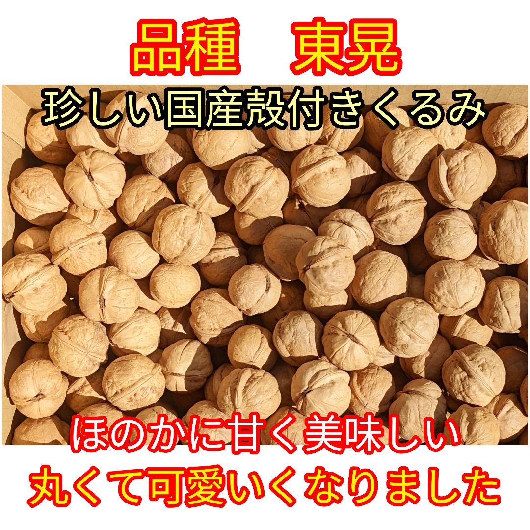 MARIKURI商品 25年 長野県 東御市 信濃くるみ サイズ小10kg