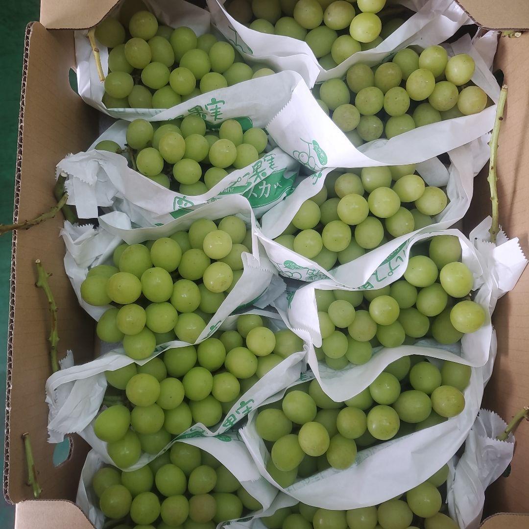 0️⃣5️⃣ 山梨県産 シャインマスカット11房入り 箱込み5.6キロ