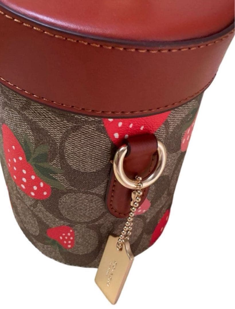 COACH クロスボディ シグネチャーキャンバス ワイルドストロベリープリント