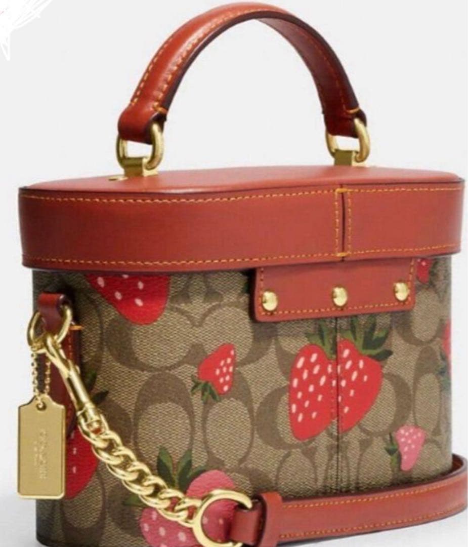 COACH クロスボディ シグネチャーキャンバス ワイルドストロベリープリント