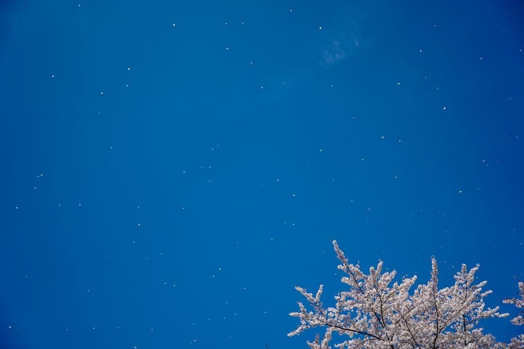 【フルサイズ】SONY FE 35mm F1.8 レンズ