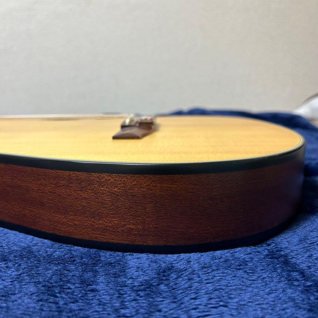 Ibanez アコースティック　エレキギター　楽器 ソフトケース付き