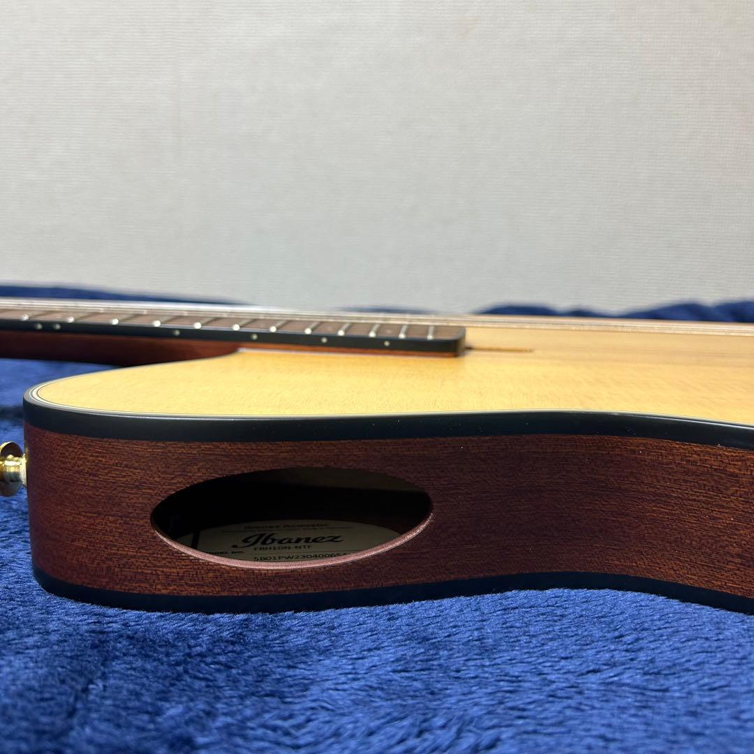 Ibanez アコースティック　エレキギター　楽器 ソフトケース付き
