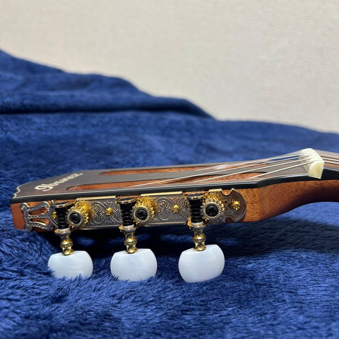 Ibanez アコースティック　エレキギター　楽器 ソフトケース付き