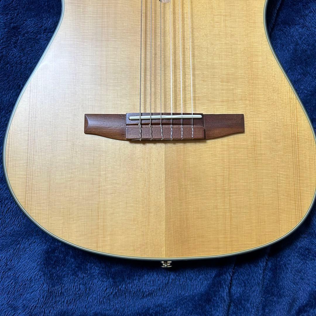 Ibanez アコースティック　エレキギター　楽器 ソフトケース付き