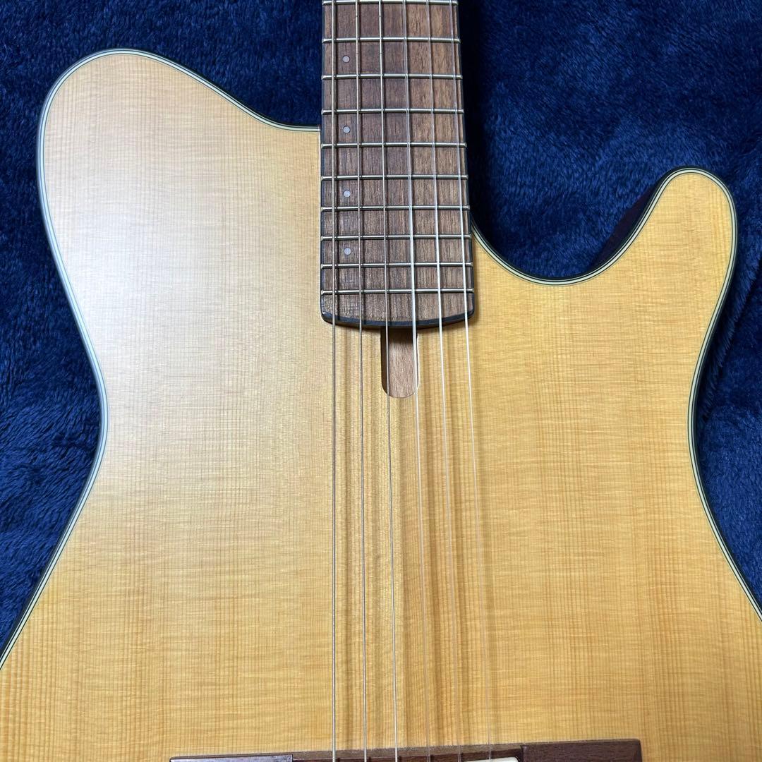 Ibanez アコースティック　エレキギター　楽器 ソフトケース付き