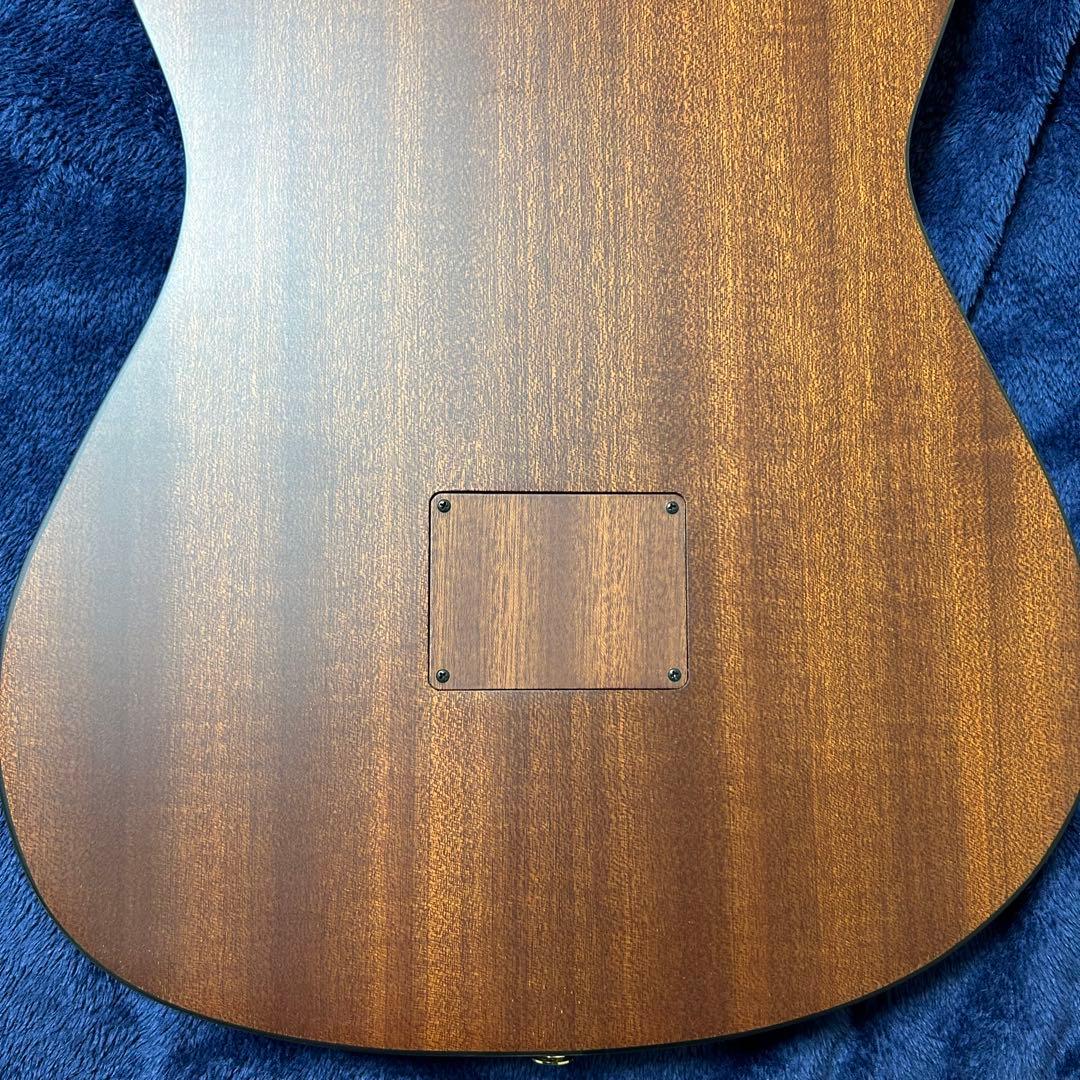 Ibanez アコースティック　エレキギター　楽器 ソフトケース付き