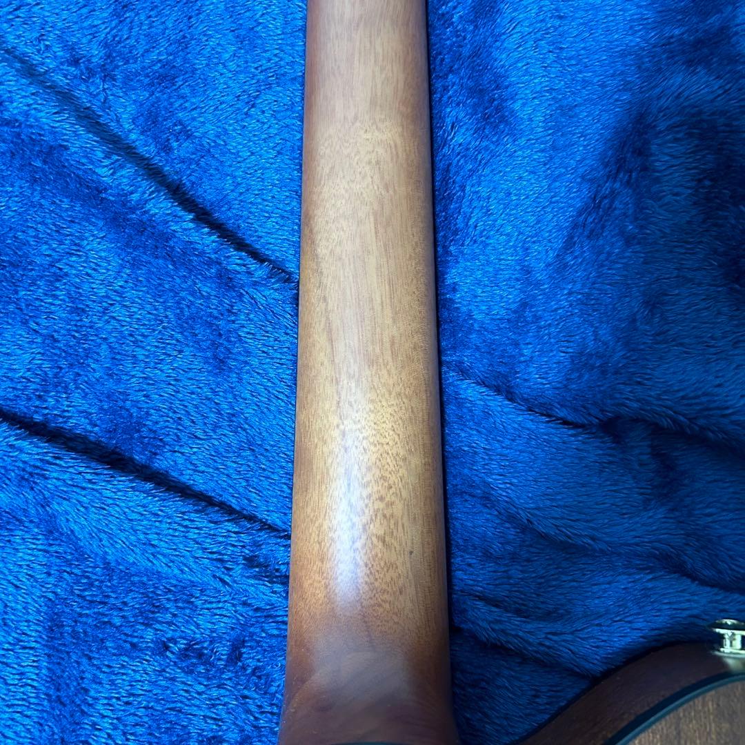 Ibanez アコースティック　エレキギター　楽器 ソフトケース付き