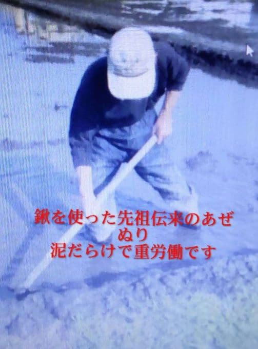 体に負担をかけない米づくり 玄米10kg ７年産コシヒカリ 特栽① 農薬等不使用