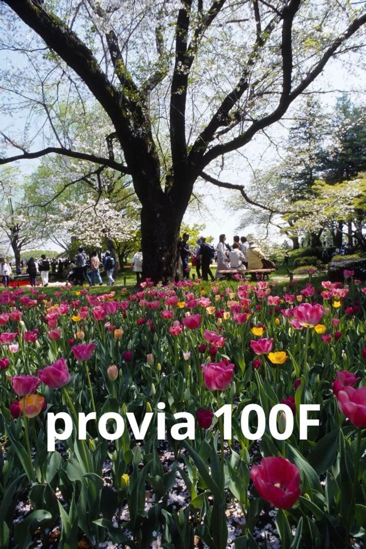 実用品 作例ありニコン nikomat EL2 フィルムカメラ