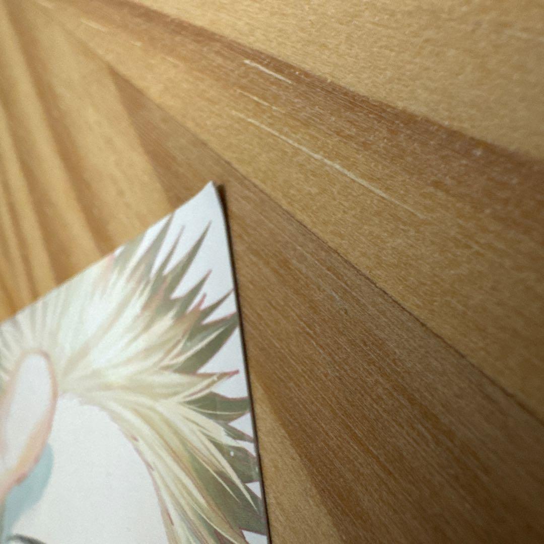 薫る花は凛と咲く「1～21巻」全巻 19巻 付録付き