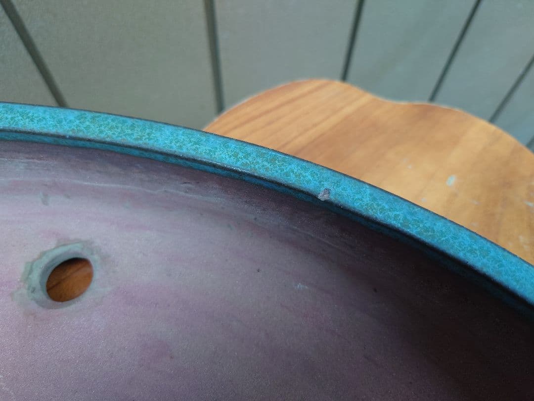 特大鉢　緑巳斎春松　幅70cm