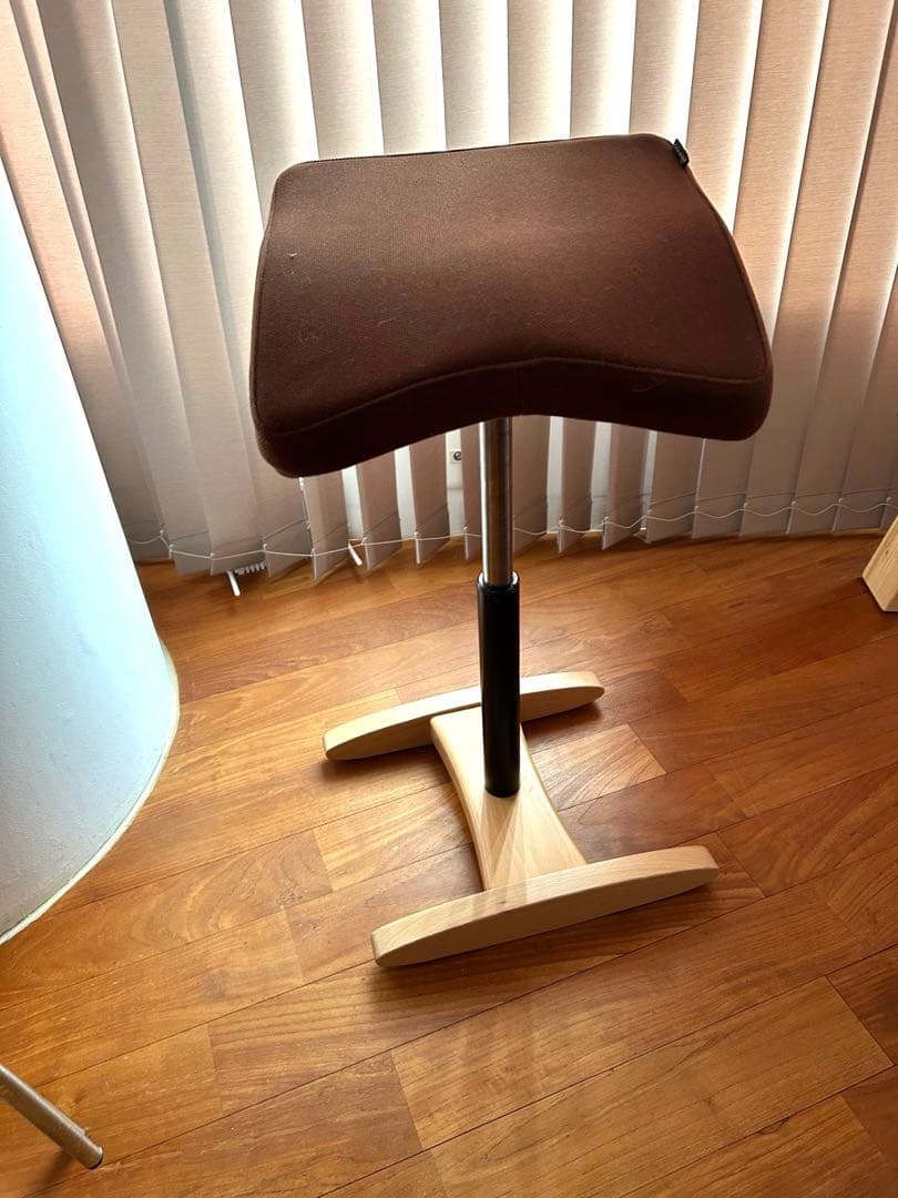 バランス シナジー ブラウン　サカモトハウス