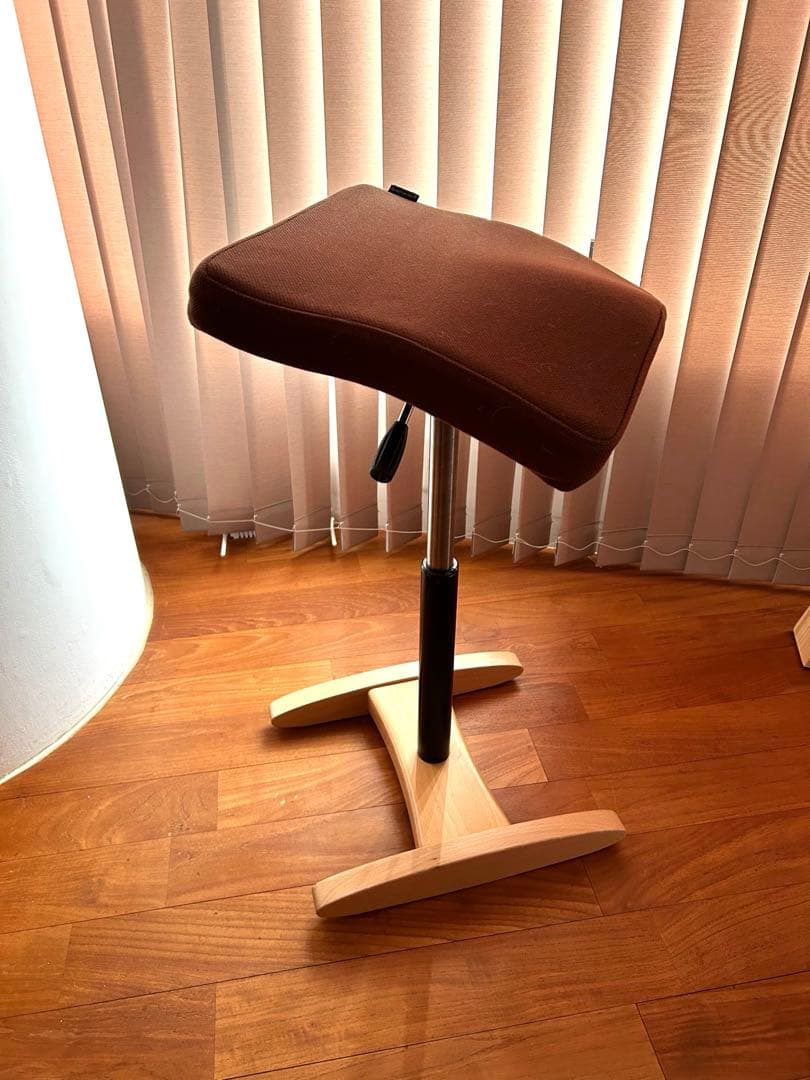 バランス シナジー ブラウン　サカモトハウス