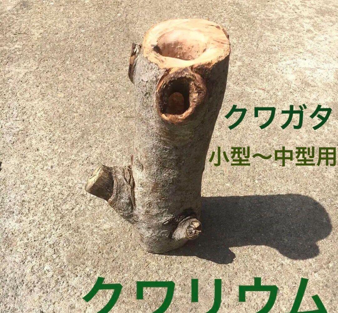 しょーきちページ