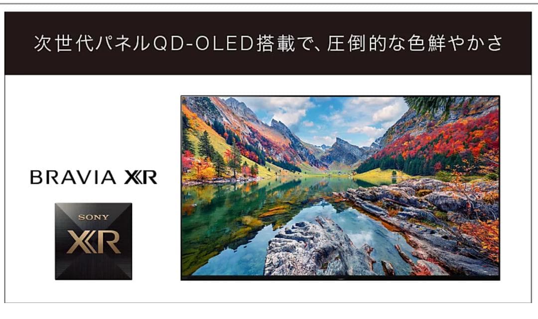 フラッグシップ4K有機 ELBRAVIA XRJ-55A95K [55インチ]