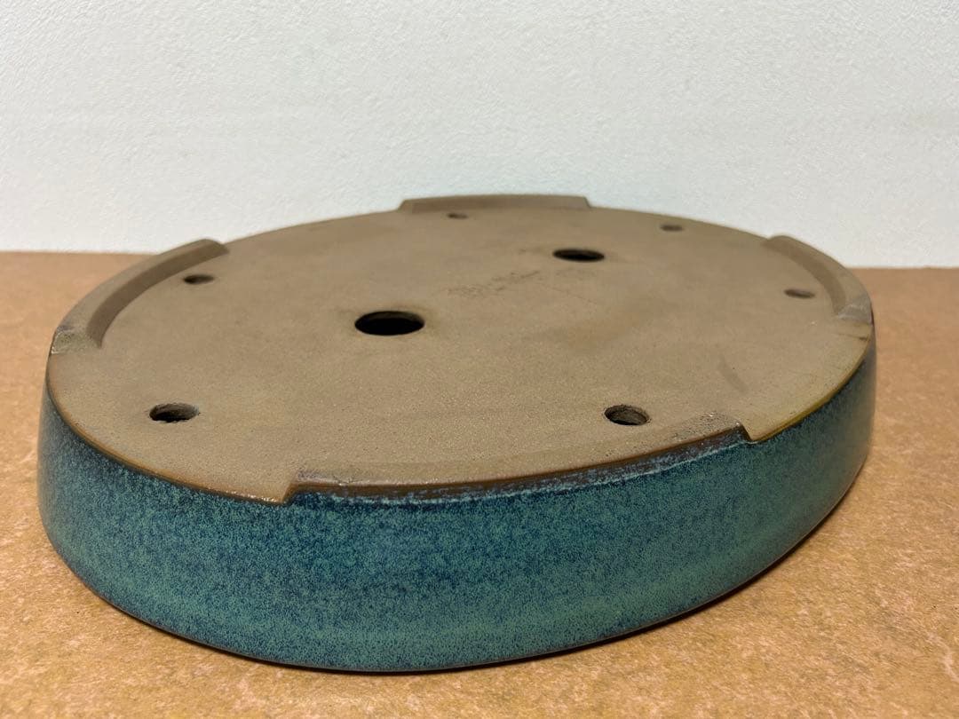 碧水　盆栽鉢　山野草