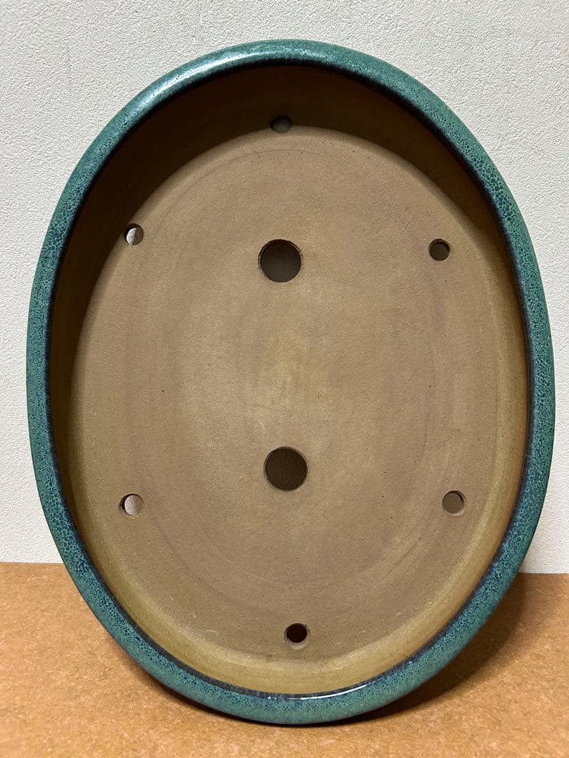 碧水　盆栽鉢　山野草