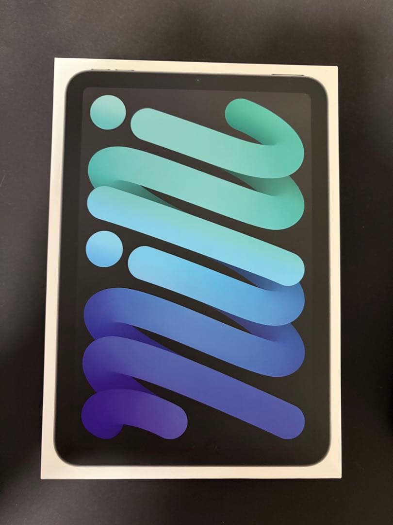 apple ipad mini 6 第6世代 cellular スペースグレイ