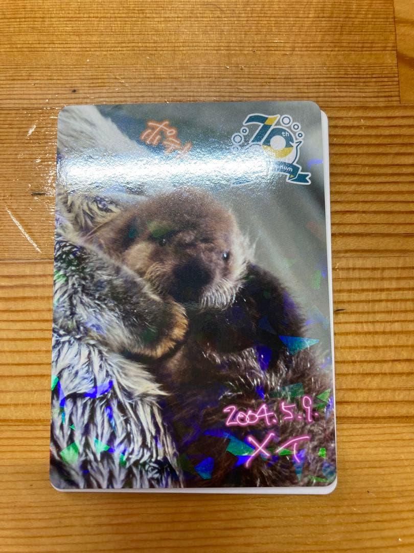 S*A様 鳥羽水族館　コレクションカード　メイ　レアカード　ラッコ
