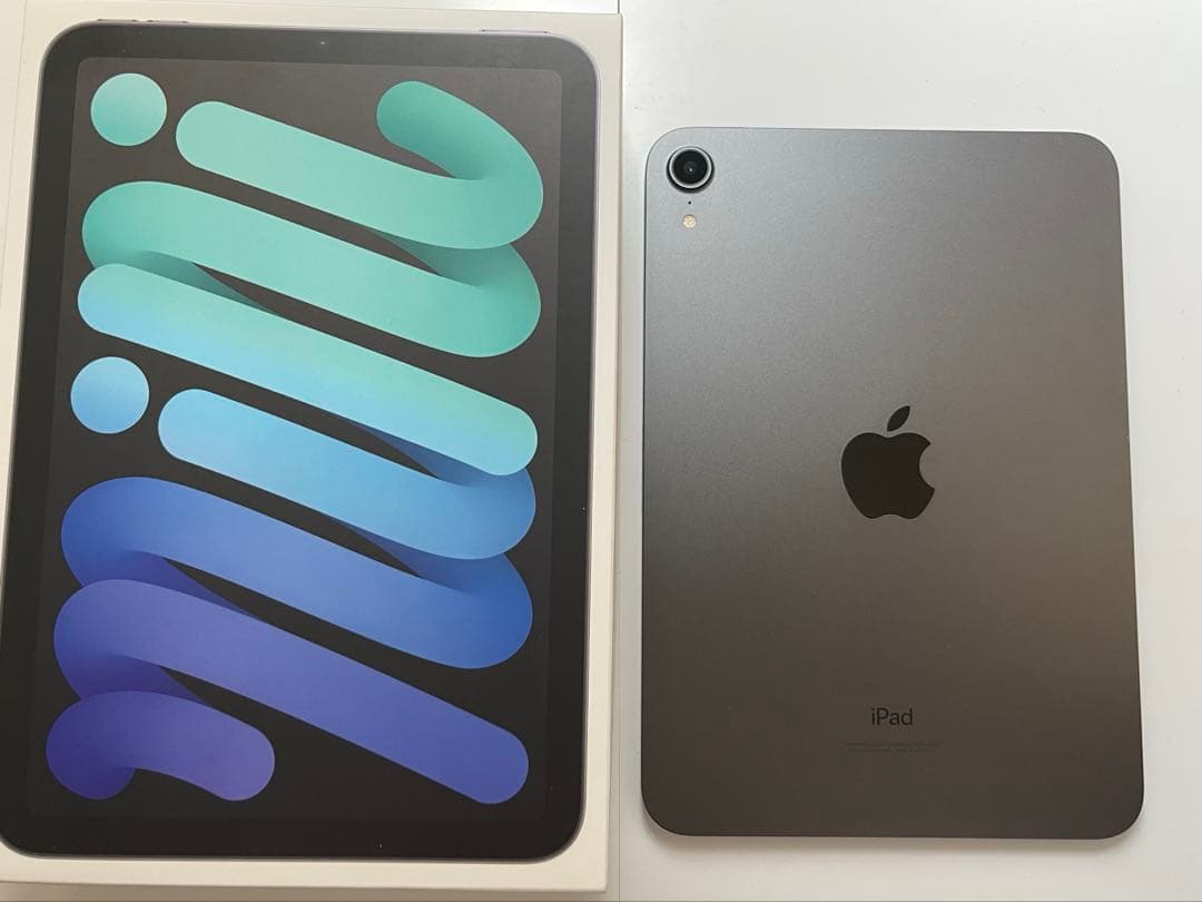 iPad mini (第6世代) 256GB スペースグレー 【ジャンク品】