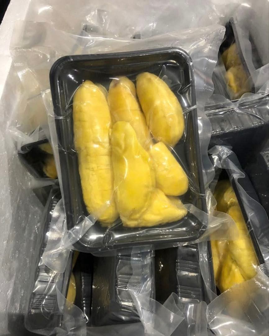 冷凍モントーンドリアン 金枕榴蓮 500g×12Pセット