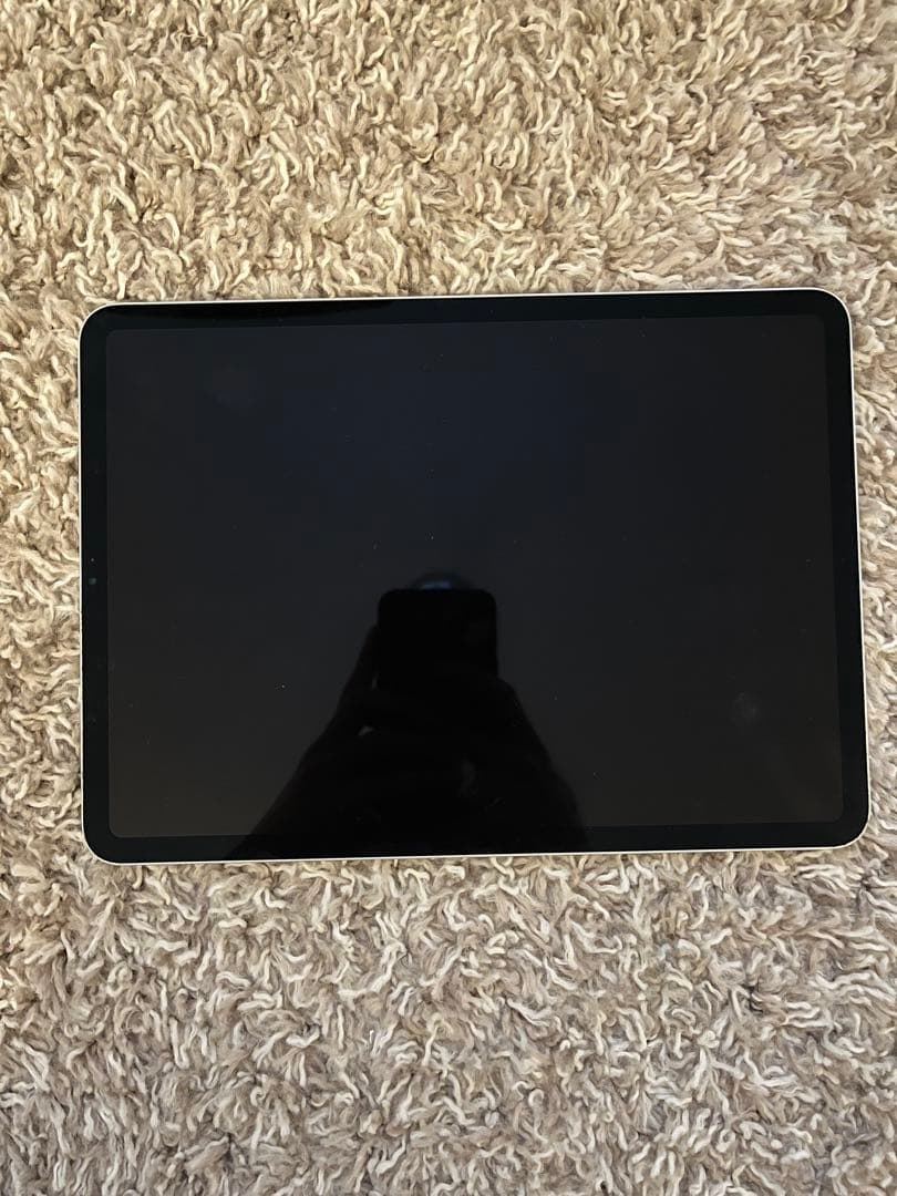 iPad Pro 11インチ 第1世代 Wi-Fiモデル 256GB