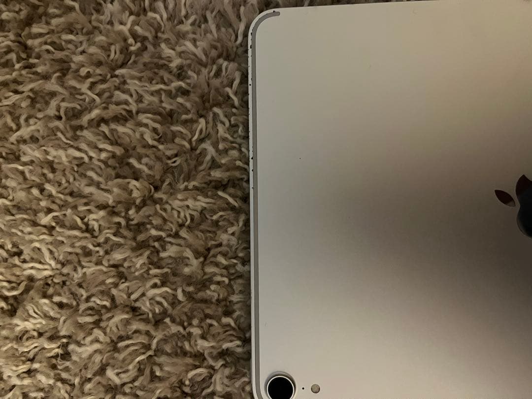 iPad Pro 11インチ 第1世代 Wi-Fiモデル 256GB