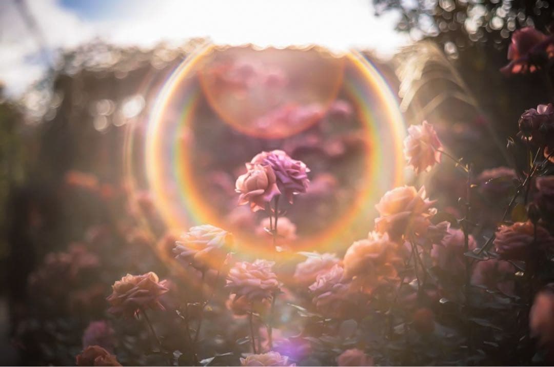 Super Takumar 55mm f1.8【M42】【最上級虹色フレア】希少