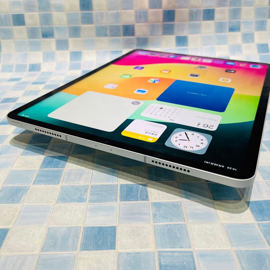 Wi-Fi iPad Pro 12.9 第5世代 本体 128GB シルバー