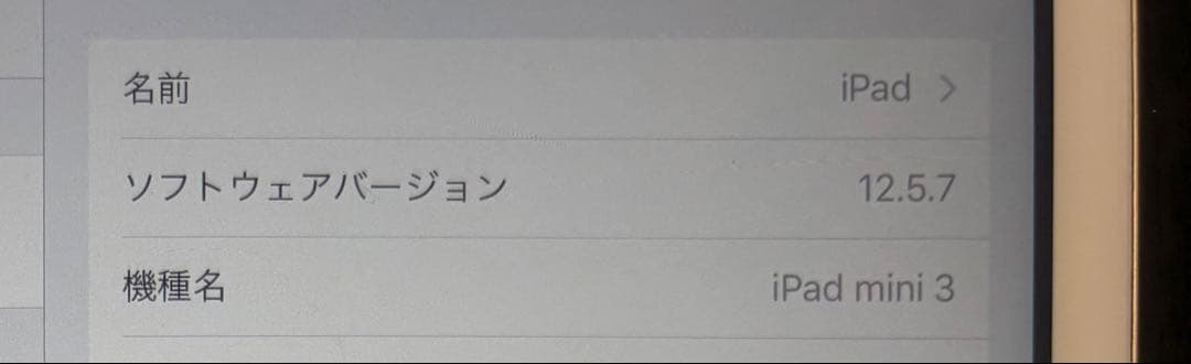 Apple iPad mini3 128GB 本体　画面シート付き