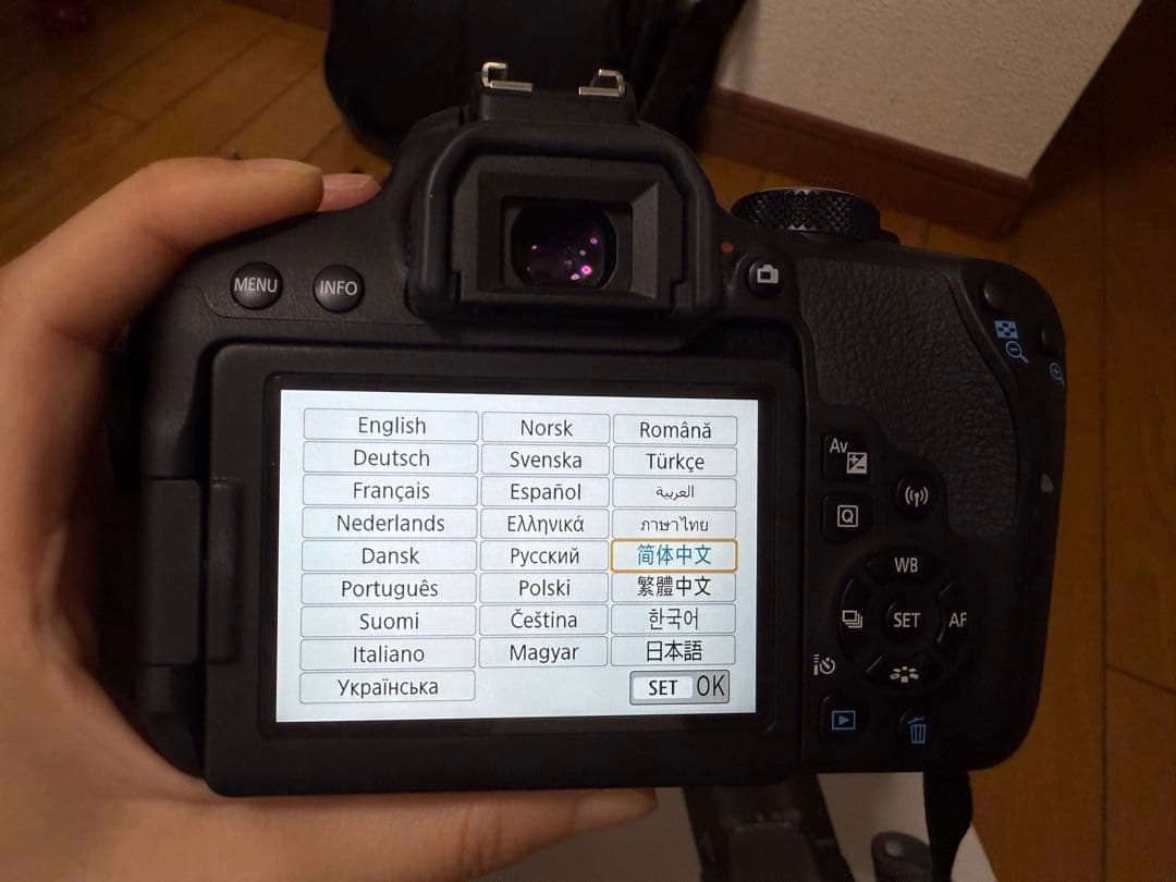 【美品】Canon EOS 800D（海外版）☆シャッター回数わずか1331回