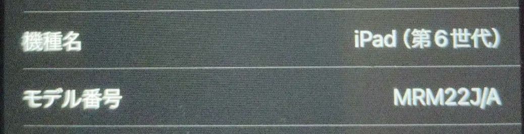 Apple iPad (第6世代) 本体