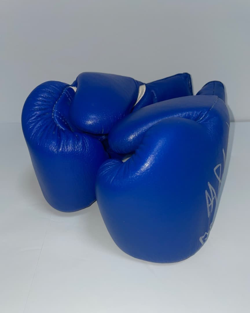 MIKIウィニング ボクシンググローブ 8オンス　世界チャンピオン